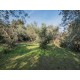 Properties for Sale_Restored Farmhouses _AGRITURISMO FOR SALE IN TORRE DI PALME IN THE MARCHE ITALY  in Le Marche_31